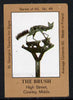 Match Box Labels - The Brush (No.48 from a series of 50 Pub signs) light brown background, very fine unused condition (St George's Taverns)