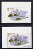 St Kilda 1969 Flowers 1s6d (Bog Violet) imperf single with grey omitted (St Kilda, imprint & value) plus imperf normal unmounted mint