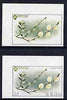 St Kilda 1969 Flowers 5d (Creeping Willow) imperf single with grey omitted (St Kilda, imprint & value) plus imperf normal unmounted mint
