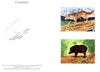 Bhutan 1990 Endangered Wildlife - 25nu (Wolf) & 25nu (Pygmy Hog) imperf m/sheets mounted in Folder entitled 'Your Proofs from the House of Questa', signed and approved by Director PTT, exceptionally rare ex Government archives,(Sc 939 & 940)
