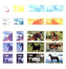 Batum 1996 Horses sheetlet containing 6 values, the set of 9 imperf progressive proofs comprising the 4 individual colours, plus various 2, 3 and all 4-colour composites unmounted mint