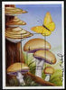 Angola 1999 Mushrooms perf m/sheet (Psalliota haemorrhoidaria) signed by Thomas C Wood the designer, unmounted mint SG MS 1510a