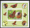 St Thomas & Prince Islands 2008 Butterflies individual imperf deluxe sheet #9 unmounted mint. Note this item is privately produced and is offered purely on its thematic appeal