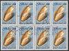 Ghana 1990 Seashells 60c Elephant's Snout, superb block of 8 showing the full perfin 'T.D.L.R. SPECIMEN' (ex De La Rue archive sheet) rare, unusual and unmounted mint as SG 1418