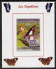 Guinea - Conakry 2008 Butterflies #4 individual imperf deluxe sheet unmounted mint. Note this item is privately produced and is offered purely on its thematic appeal