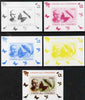 Comoro Islands 2008 Entomologists & Butterflies #1 Nathan Banks individual deluxe sheet - the set of 5 imperf progressive proofs comprising the 4 individual colours plus all 4-colour composite, unmounted mint