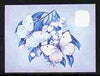 Lesotho 1984 Butterflies African Migrant 6s imperf proof in blue & magenta colours only minor wrinkles but unmounted mint as SG 568