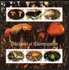 Central African Republic 2012 Mushrooms & Butterflies imperf sheetlet containing 6 values unmounted mint. Note this item is privately produced and is offered purely on its thematic appeal, it has no postal validity