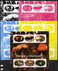Central African Republic 2012 Mushrooms & Butterflies sheetlet containing 6 values - the set of 5 imperf progressive proofs comprising the 4 individual colours plus all 4-colour composite, unmounted mint