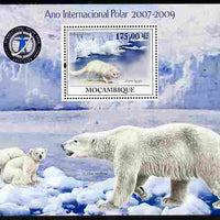 Mozambique 2009 International Polar Year perf m/sheet unmounted mint Michel BL 288