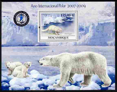 Mozambique 2009 International Polar Year perf m/sheet unmounted mint Michel BL 288
