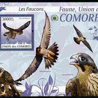 Comoro Islands 2009 Hawks perf m/sheet unmounted mint Michel BL 525