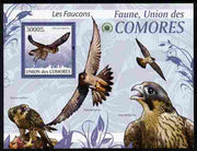 Comoro Islands 2009 Hawks perf m/sheet unmounted mint Michel BL 525