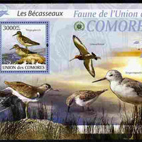 Comoro Islands 2009 Sandpipers perf m/sheet unmounted mint Michel BL 517