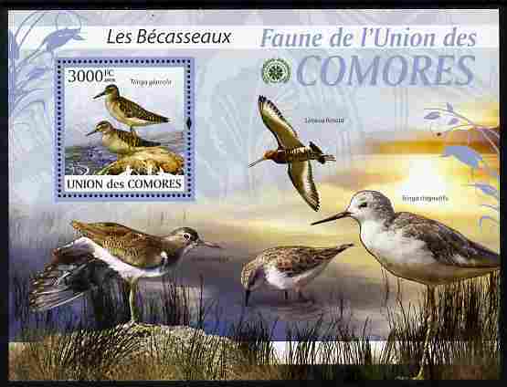 Comoro Islands 2009 Sandpipers perf m/sheet unmounted mint Michel BL 517