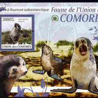 Comoro Islands 2009 Sea Lions perf m/sheet unmounted mint Michel BL 528