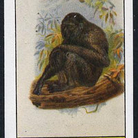 Bernera 1982 Primates (Siamang Gibbon) imperf souvenir sheet (£1 value) unmounted mint