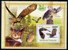 Togo 2011 Owls perf s/sheet unmounted mint