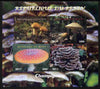 Benin 2011 Mushrooms imperf sheetlet containing 4 values unmounted mint. Note this item is privately produced and is offered purely on its thematic appeal