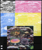 Benin 2011 Mushrooms sheetlet containing 4 values - the set of 5 imperf progressive proofs comprising the 4 individual colours plus all 4-colour composite, unmounted mint