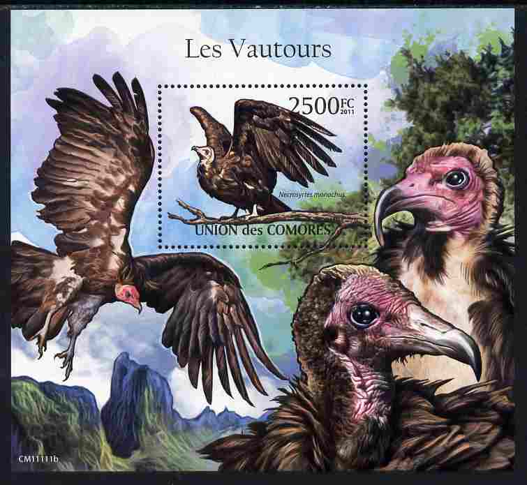 Comoro Islands 2011 Vultures perf m/sheet unmounted mint