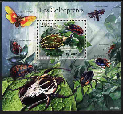 Comoro Islands 2011 Beetles perf s/sheet unmounted mint