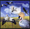Comoro Islands 2011 Wading Birds perf s/sheet unmounted mint