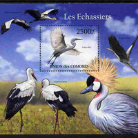 Comoro Islands 2011 Wading Birds perf s/sheet unmounted mint