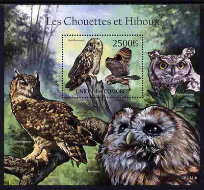 Comoro Islands 2011 Owls #1 perf s/sheet unmounted mint