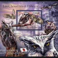 Comoro Islands 2011 Owls #2 perf s/sheet unmounted mint