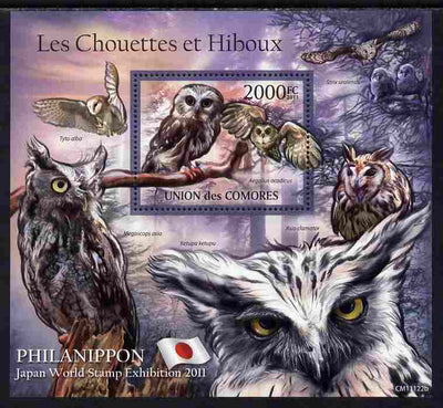 Comoro Islands 2011 Owls #2 perf s/sheet unmounted mint