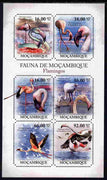 Mozambique 2011 Flamingos perf sheetlet containing 6 octagonal shaped values unmounted mint