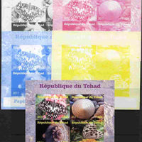 Chad 2011 Shells & Butterflies sheetlet containing 4 values - the set of 5 imperf progressive proofs comprising the 4 individual colours plus all 4-colour composite, unmounted mint.