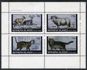 Bernera 1982 Animals (Goats, Ram & Cats) perf,set of 4 values (10p to 75p) unmounted mint