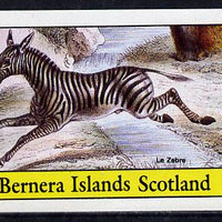 Bernera 1982 Animals (Zebra) imperf souvenir sheet (£1 value) unmounted mint