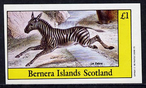 Bernera 1982 Animals (Zebra) imperf souvenir sheet (£1 value) unmounted mint