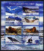 Congo 2012 Antarctic Fauna perf sheetlet containing 8 values fine cto used