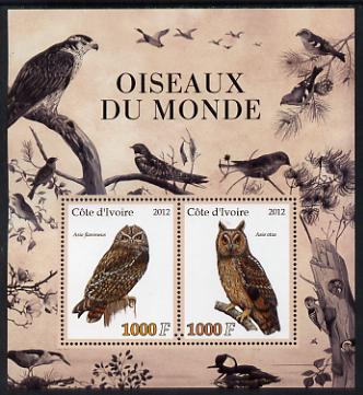 Ivory Coast 2012 Birds of the World #2 perf sheetlet containing 2 values unmounted mint