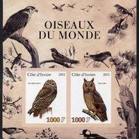 Ivory Coast 2012 Birds of the World #2 imperf sheetlet containing 2 values unmounted mint