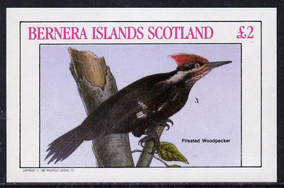 Bernera 1982 Woodpecker imperf deluxe sheet (£2 value) unmounted mint