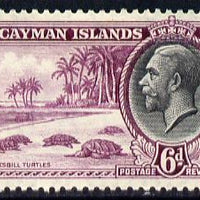 Cayman Islands 1935 KG5 Pictorial - Hawksbill Turtles 6d bright purple & black mounted mint, SG 103