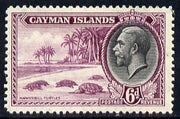 Cayman Islands 1935 KG5 Pictorial - Hawksbill Turtles 6d bright purple & black mounted mint, SG 103