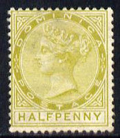 Dominica 1883-86 QV Crown CA 1/2d olive-green mounted mint SG 13