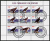 Ivory Coast 2009 Birds of Prey perf sheetlet containing 9 values fine cto used