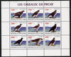 Ivory Coast 2009 Birds of Prey perf sheetlet containing 9 values unmounted mint
