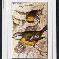 Staffa 1982 Birds #24 (Blue Tit) imperf deluxe sheet (£2 value) unmounted mint