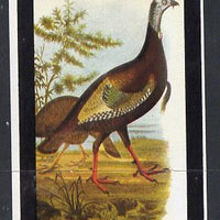 Staffa 1982 Birds #26 (Wild Turkey) imperf souvenir sheet (£1 value) unmounted mint