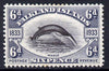 Falkland Islands 1933 Centenary 6d Fin Whale mounted mint SG 133