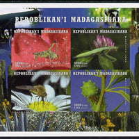 Madagascar 1999 Insects imperf sheetlet containing 4 values unmounted mint. Note this item is privately produced and is offered purely on its thematic appeal