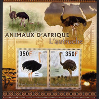 Djibouti 2013 Animals of Africa - Ostriches perf sheetlet containing 2 values unmounted mint
